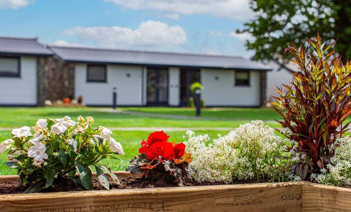 View of single storey holiday lodges with plants and flowers in foreground